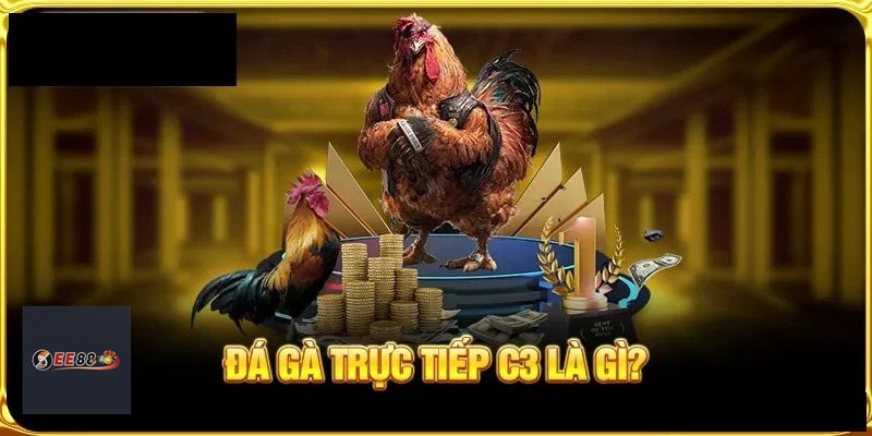 Đá Gà Online - Cách hiểu đúng cho người mới Đá Gà Online - Cách hiểu đúng cho người mới